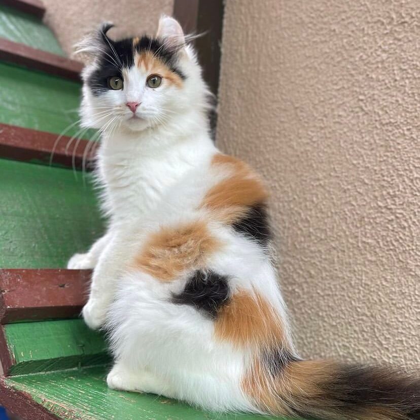 0d021eb5-d630-48b6-85a8-50a64ba09ad6