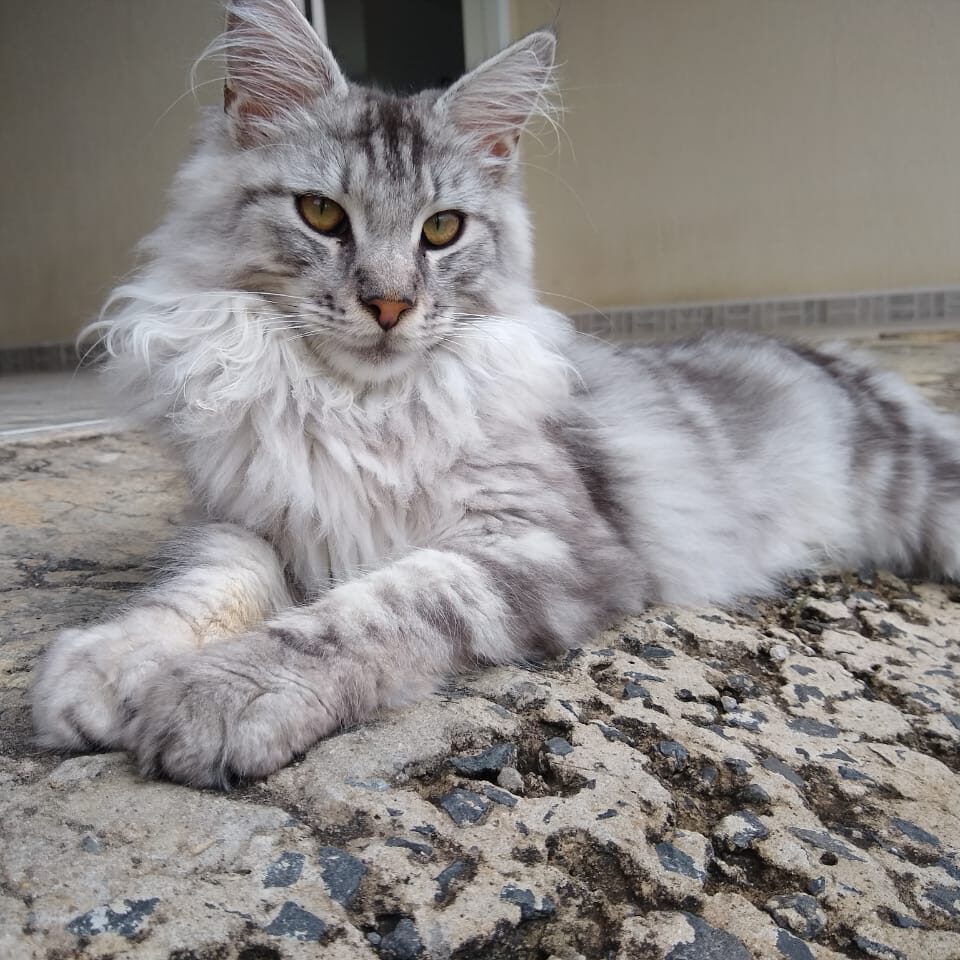 4d7d867e-fe1a-473a-90af-07b418eb4898