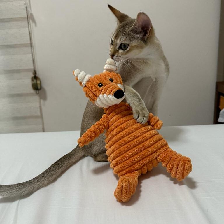 504120bc-fd95-4d3a-93cc-009441029f10