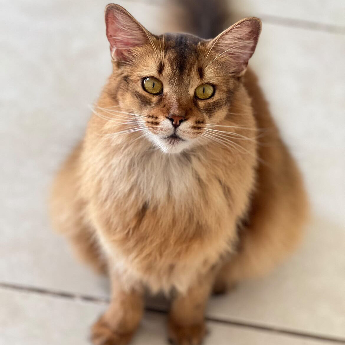 A3D38283-CF3A-44F8-AE88-E153A2FEEDDB