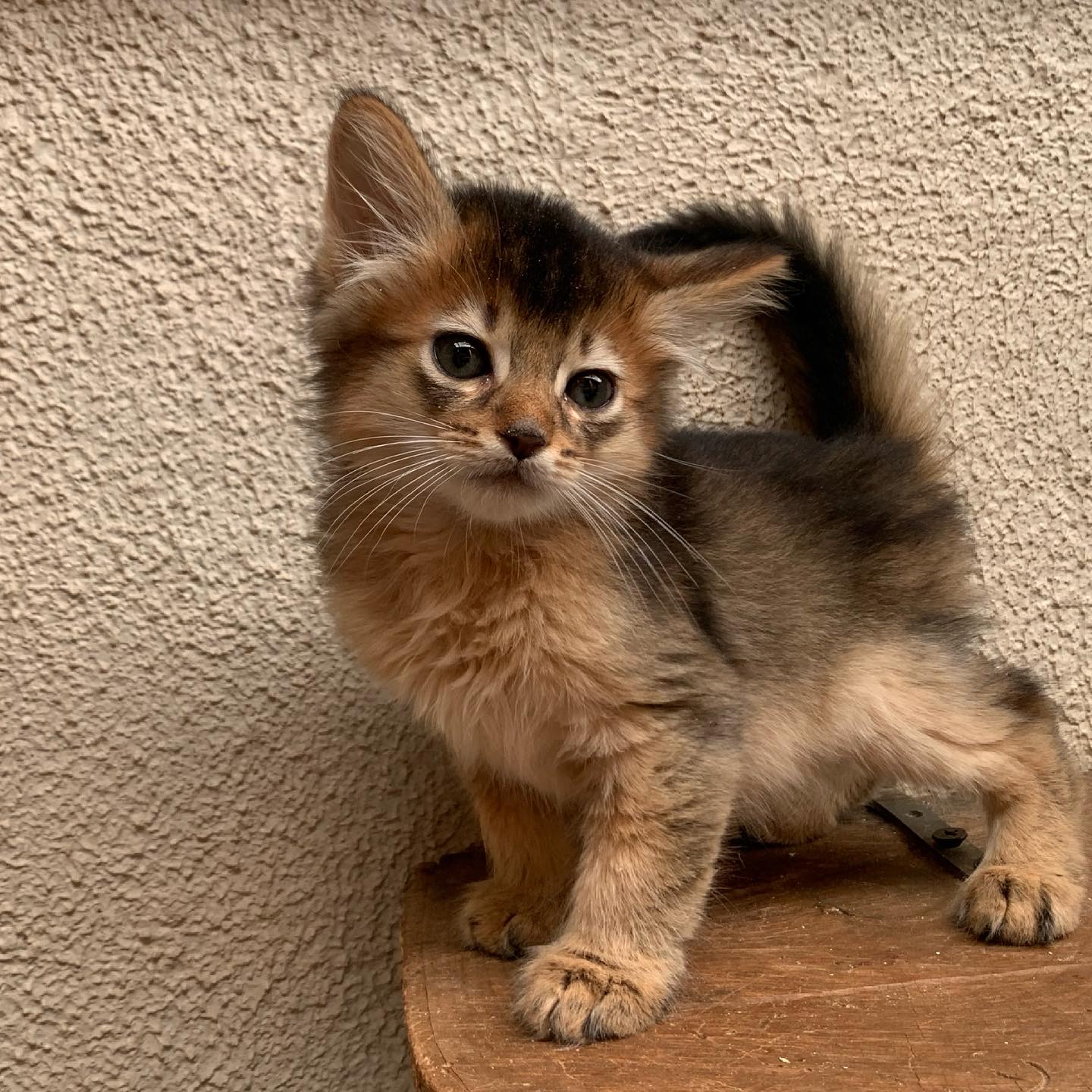 AC7DBC82-F6A5-4FB4-B2CF-144E9F499CB6