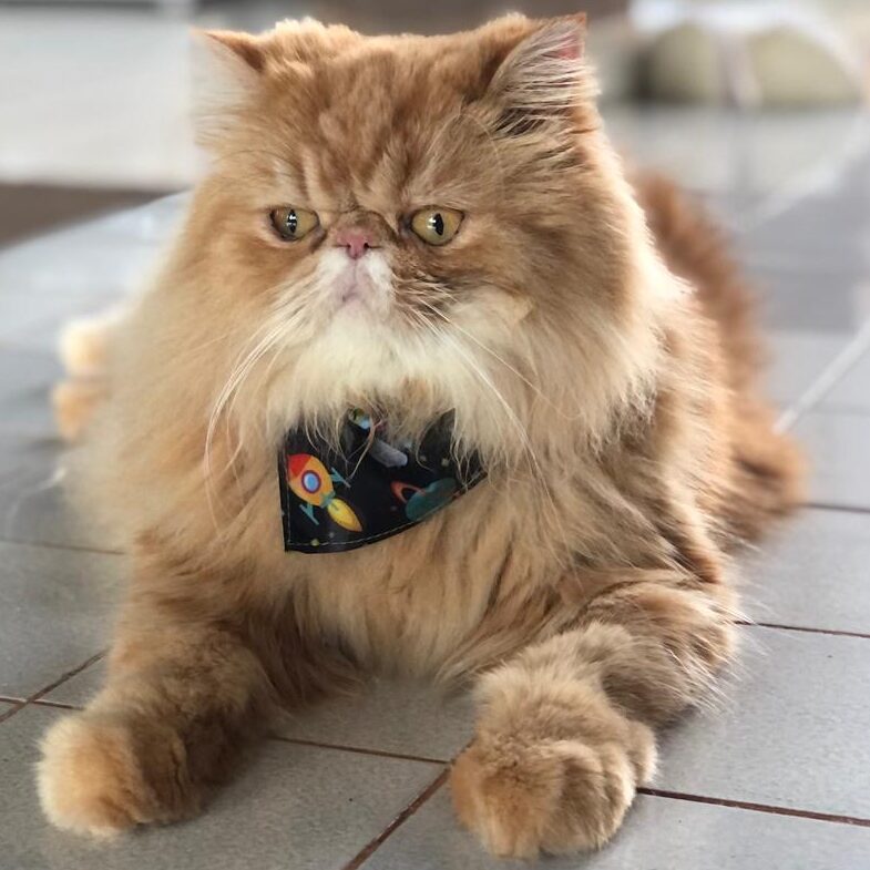 04a183b4-48cf-4b74-962b-604ffe74dbe5