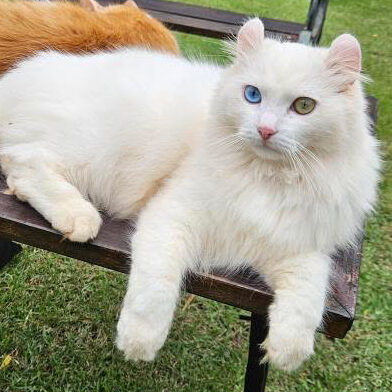 1851CAE5-1B3A-465C-970F-5C428AA5DF3E