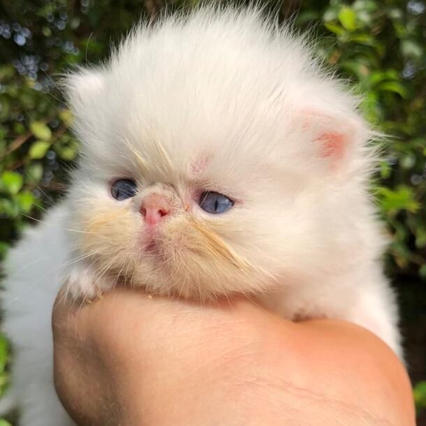 2e16044c-f5b2-4a7d-a7aa-92bf159f2bae