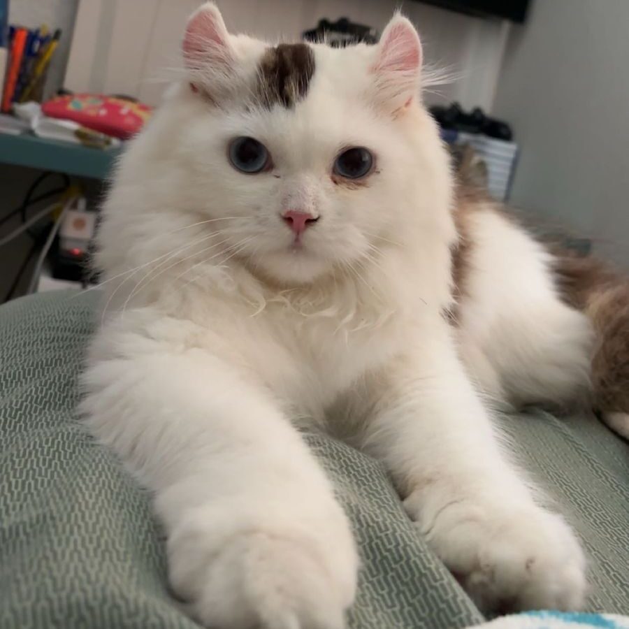 2ee05fab-0070-4fc3-b3a1-729ce81e4624