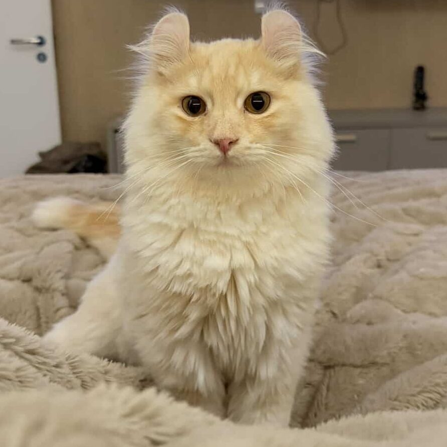 44A9F24E-F6A1-4035-8A68-AD916792DCDE