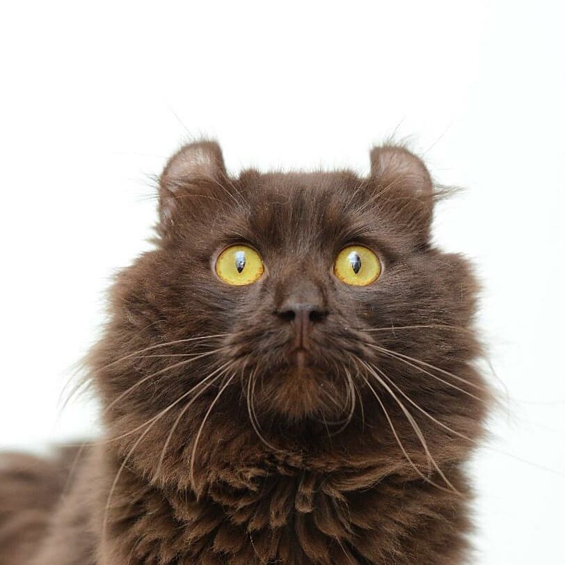 46cdb2be-d50f-4380-aed6-46b387a60b2a