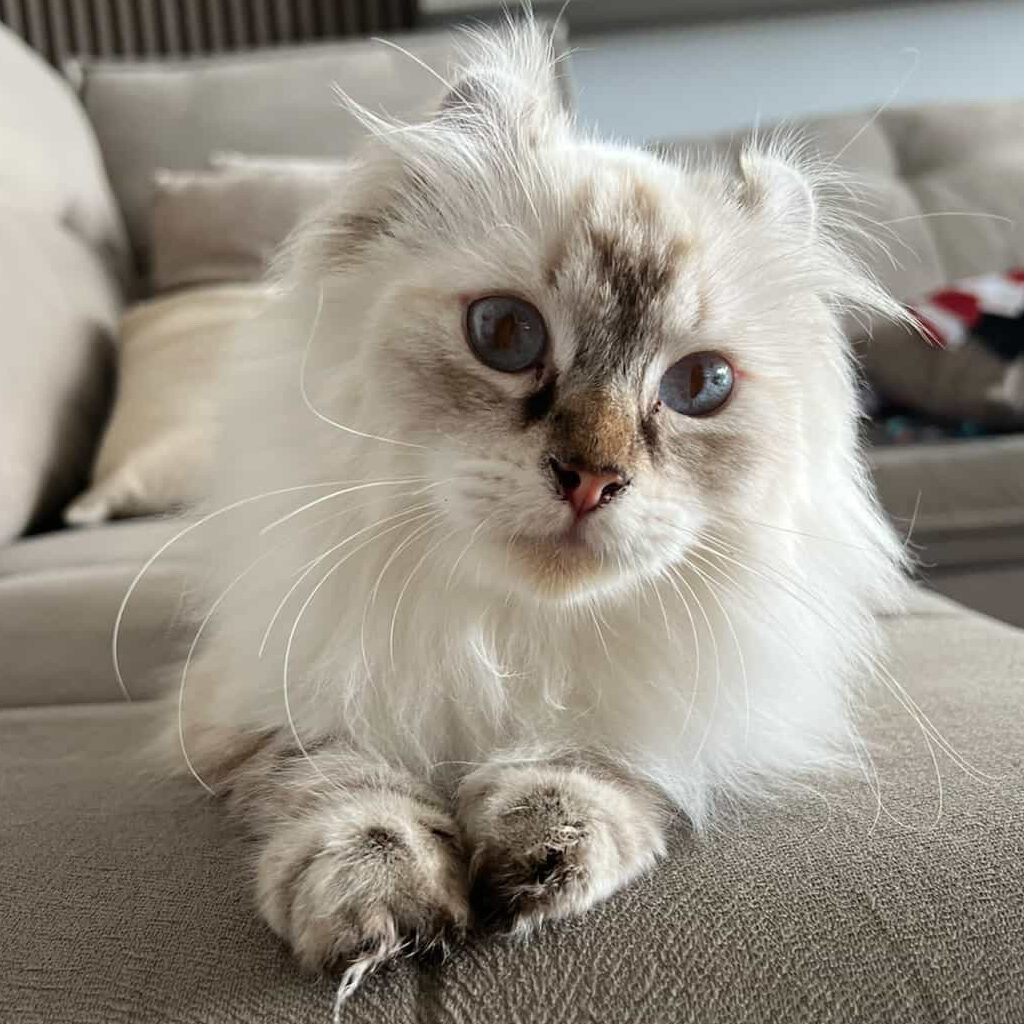 645F991A-BC57-43CE-841E-6C2BB493AA2A