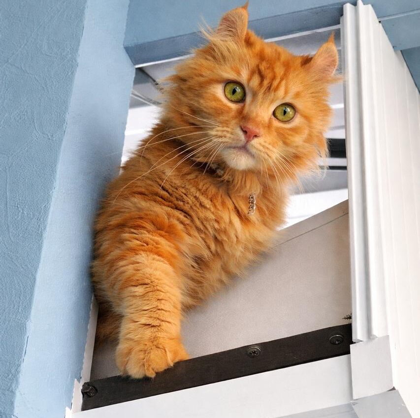 6f795fbe-1d78-470b-b8cb-21304aedc789