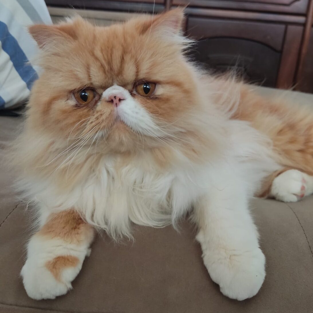 73dad9bb-2b48-4787-b5c2-46ed87ef3265