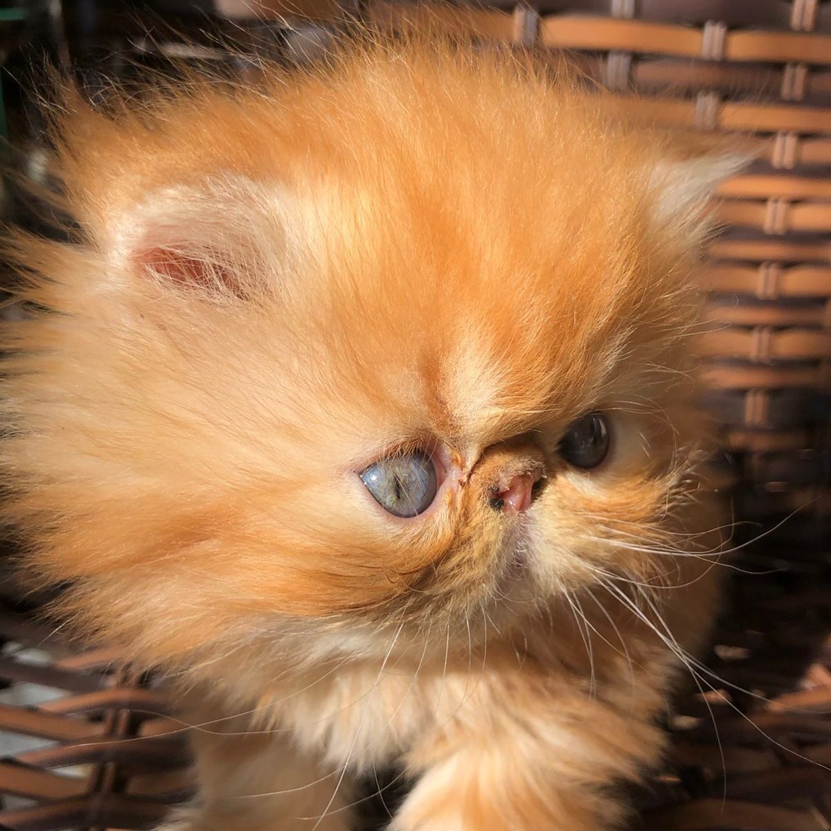 836044ee-e9f2-4ffc-b53b-666aa7e11060