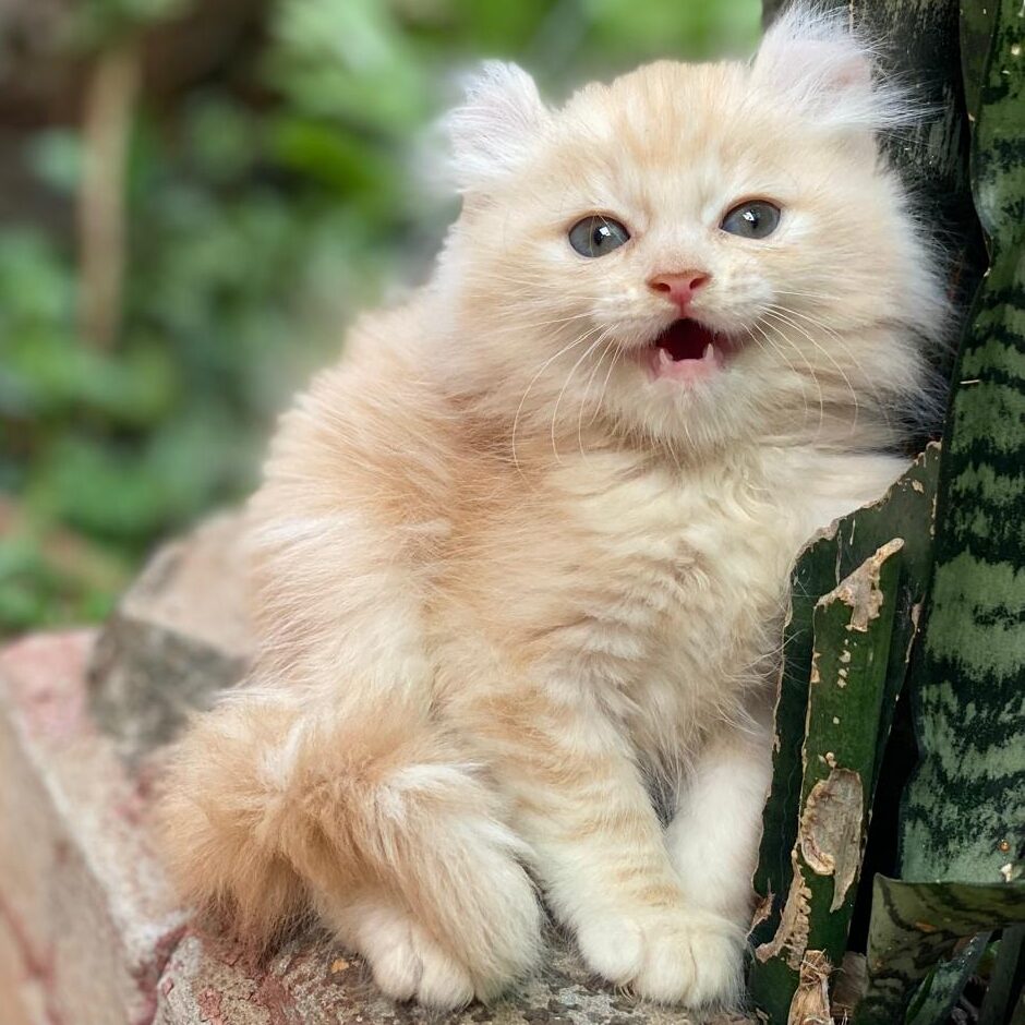 987cb0a3-fda0-44d0-bdc9-b2172ce418f0