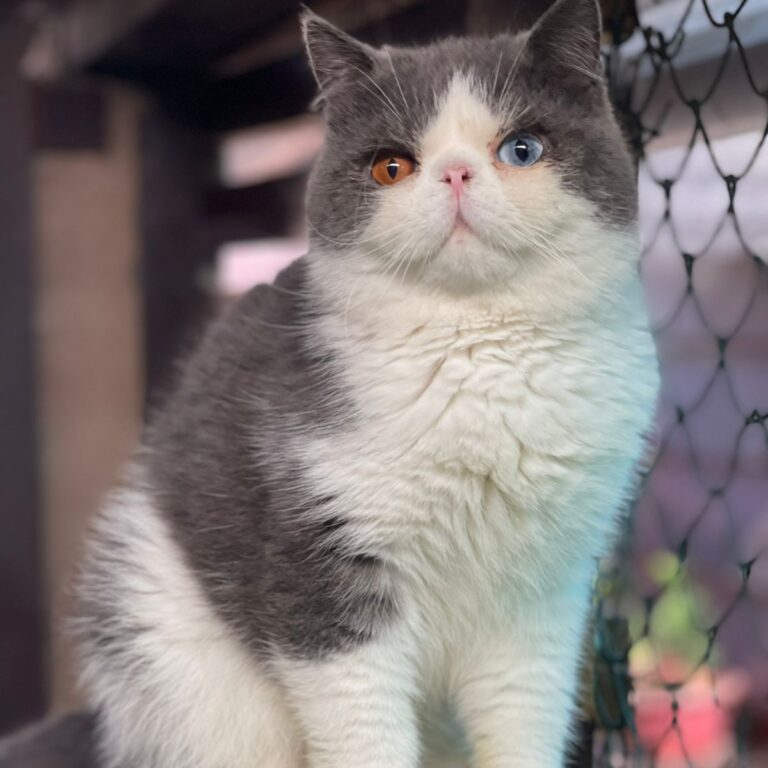 WhatsApp Image 2026-01-12 at 18.16.03