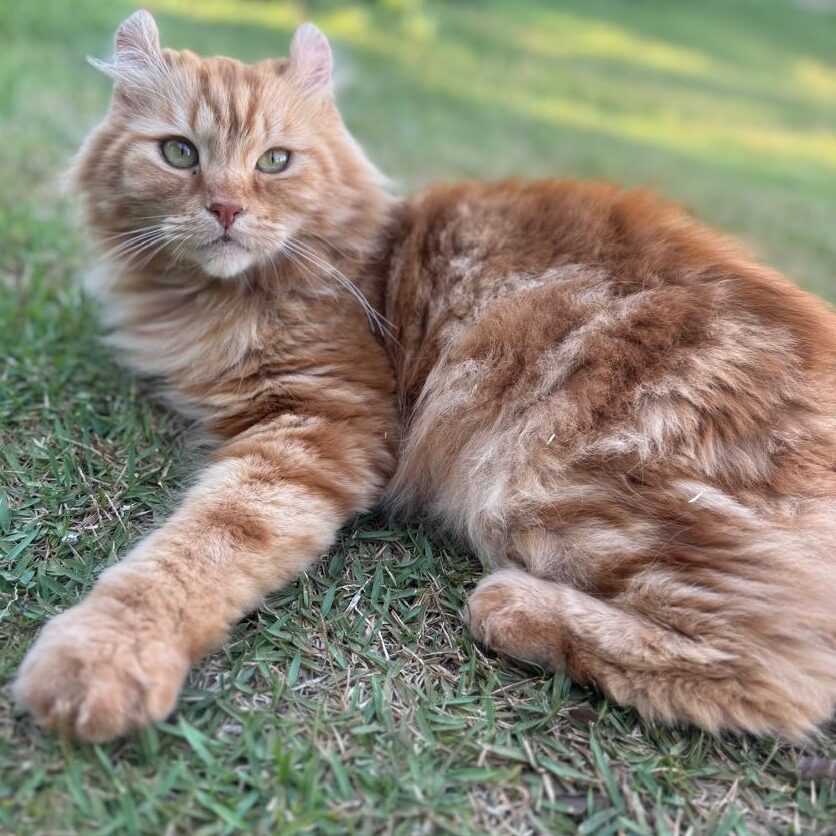 a26cd988-d1ef-4811-bebe-4eed5cf9291b