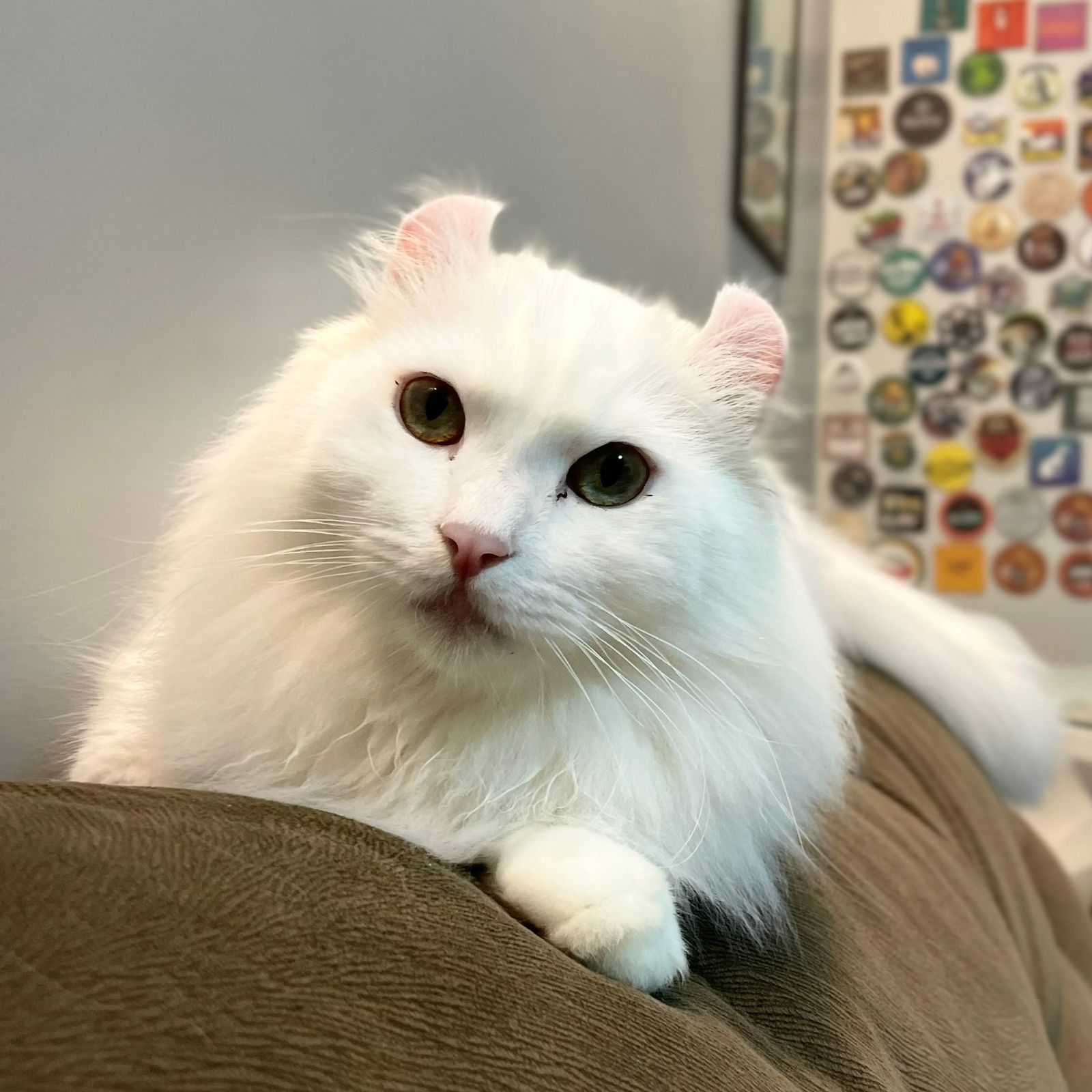 aa152b3a-85ed-4331-a9c6-9198f71bcbe5