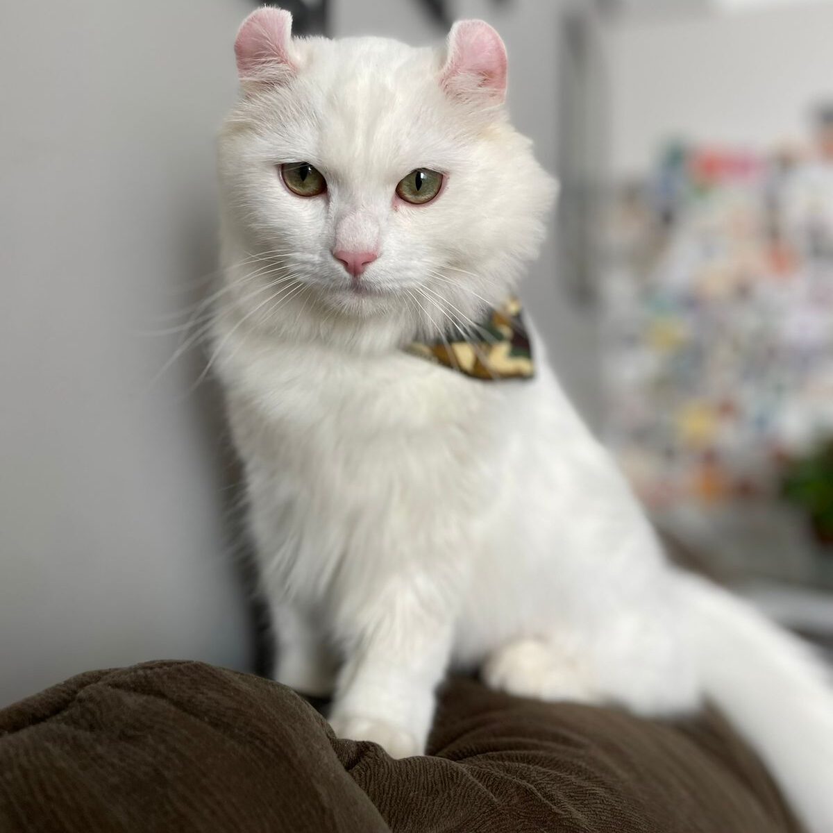 b7264350-9e40-4acd-b3bb-bbf6aeeb6f0b