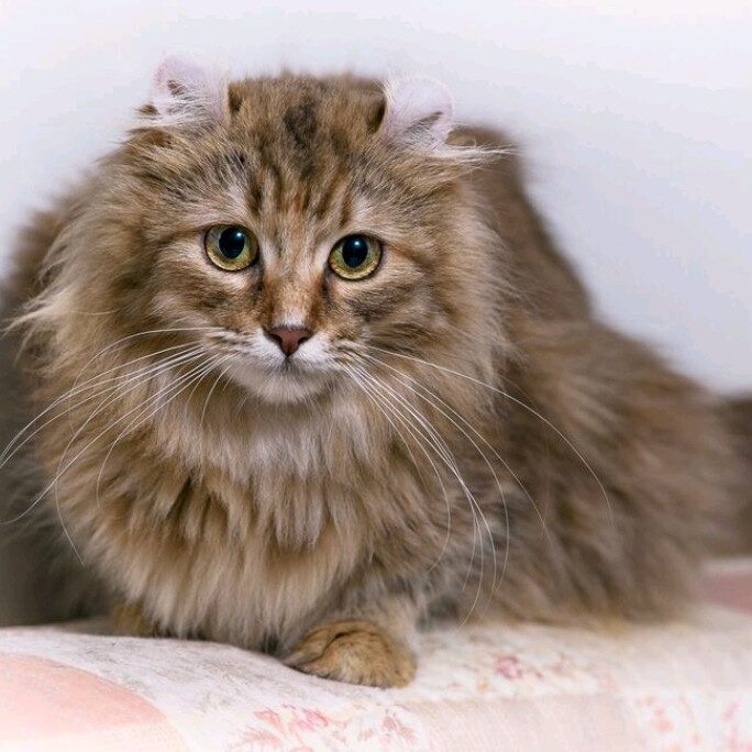 d3d054b0-1468-4036-ae35-5f8fdd8bb4e6