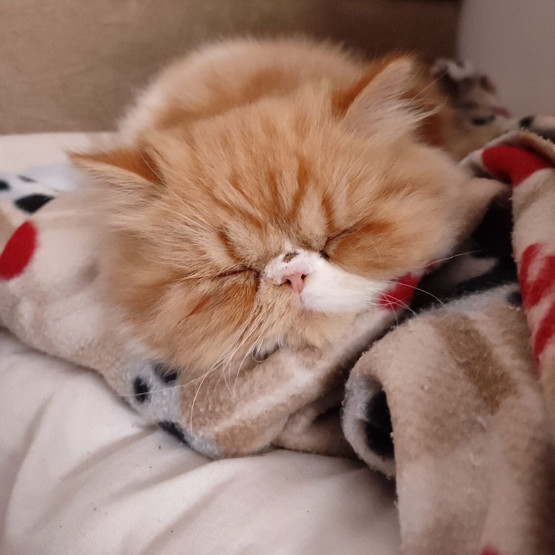 d47f6b8a-89ee-45c5-8b44-493c6d29d993