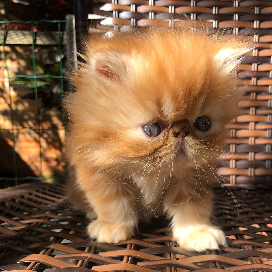 f57e8014-0932-4c4b-8f9e-a3fd51ca5fd5