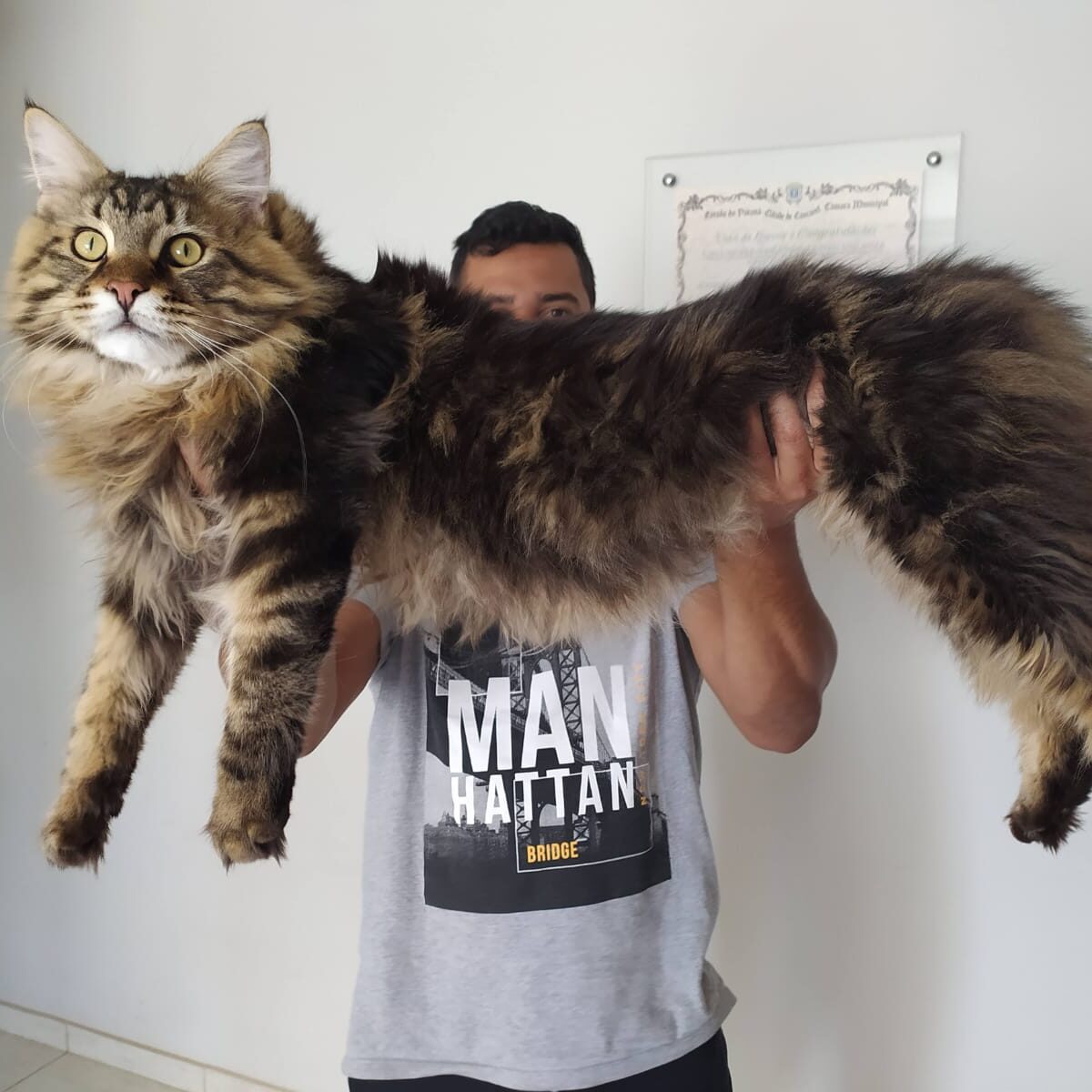 052e27df-6f73-4175-9f5c-e4d4a547f6f9