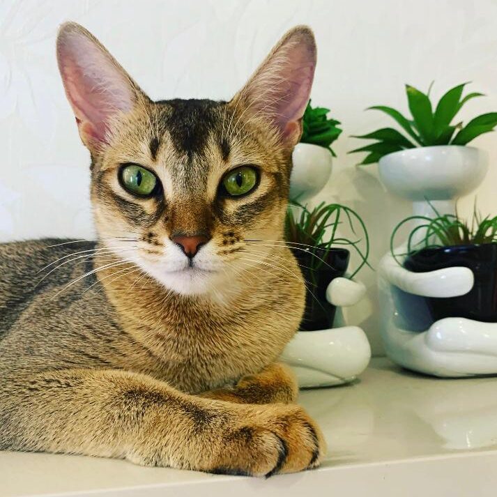 26ce4c3d-21a6-4c17-acad-fc2588482f20