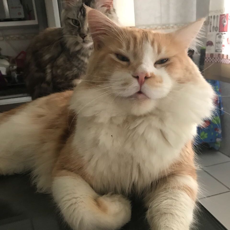 286c30e8-8cbd-4a44-b12f-abbade724a1b