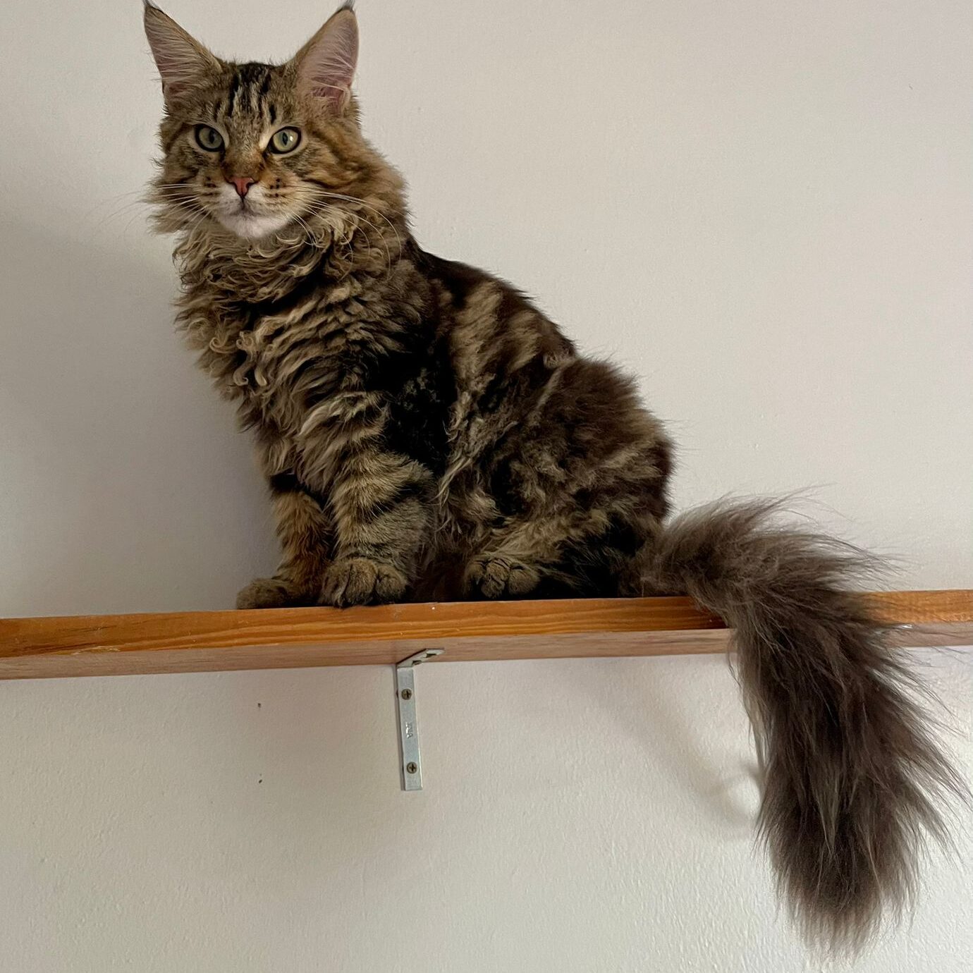 2a030774-15a9-4020-b366-7cd8787329cd