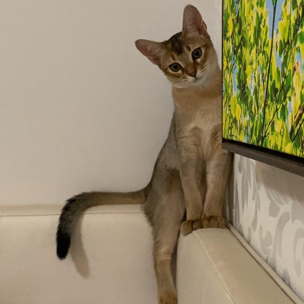 2af0d2f3-b6fb-4dfd-8499-154d7ab8a287