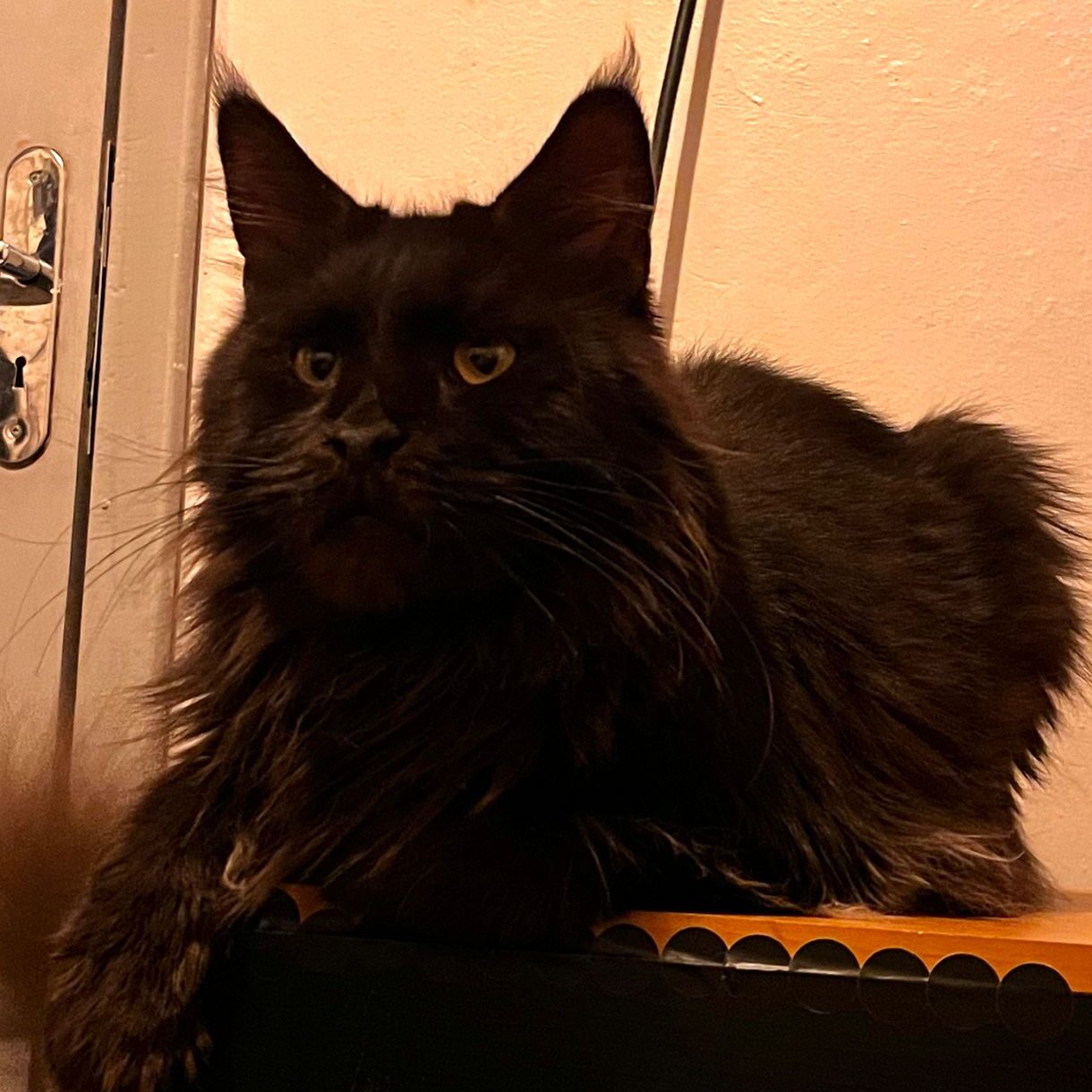 2dcf96d3-9c26-41db-bc28-839fa739bc6d