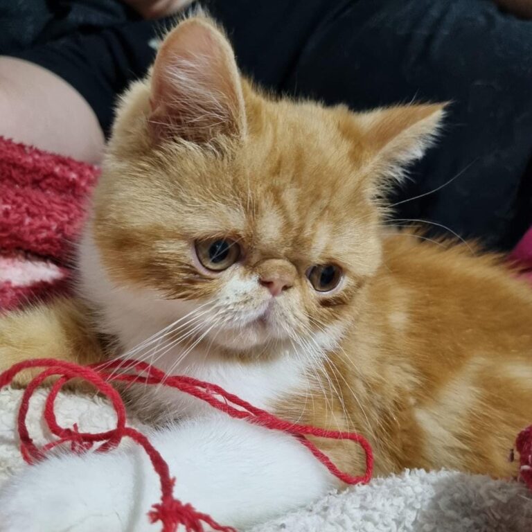 35c9618f-5dda-478c-8d84-9da1e5fc6e4d