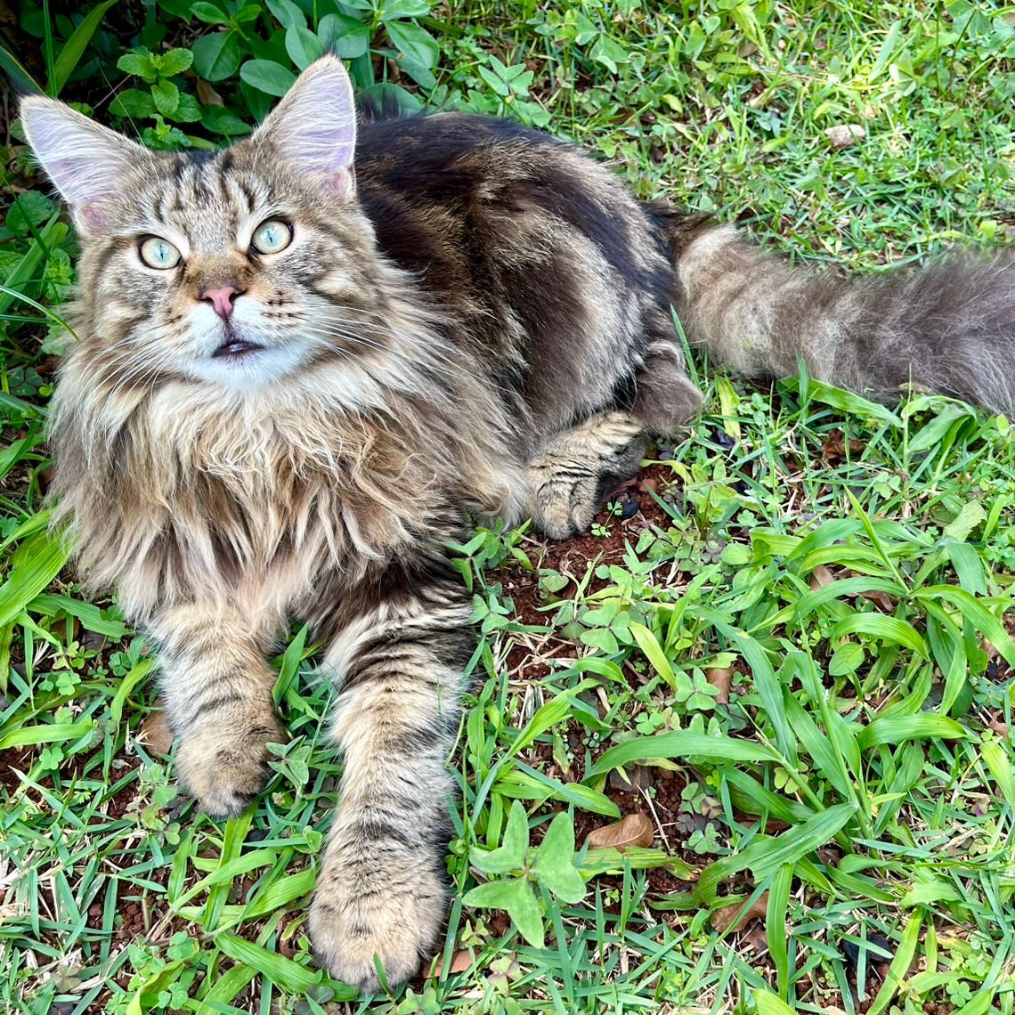 391ff686-ba3c-490d-bd96-8c8bfc862966