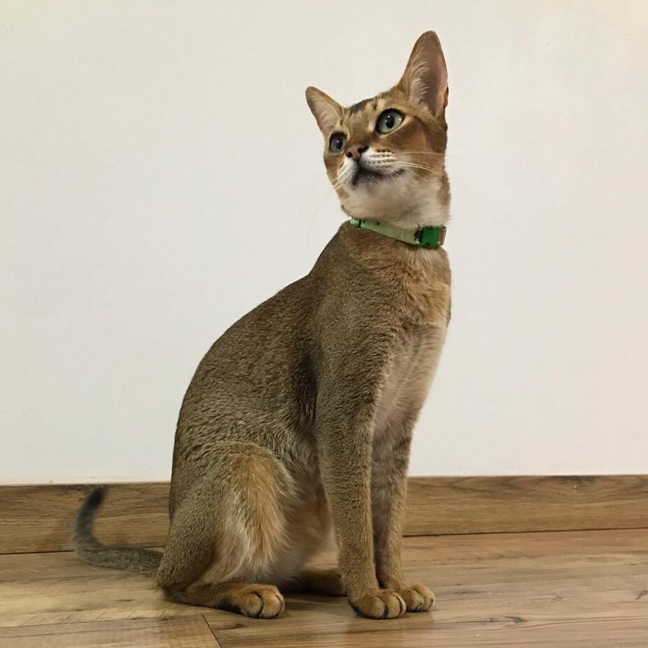 47dabbb3-f087-419c-9c68-4260b69bfeea