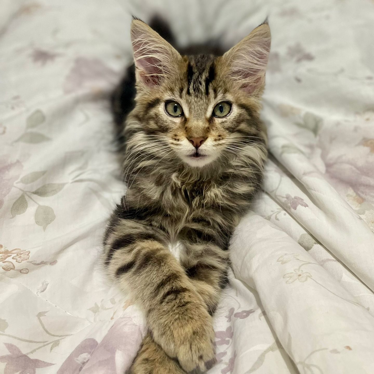 4832510f-c123-44f3-bec7-204c1b26901d