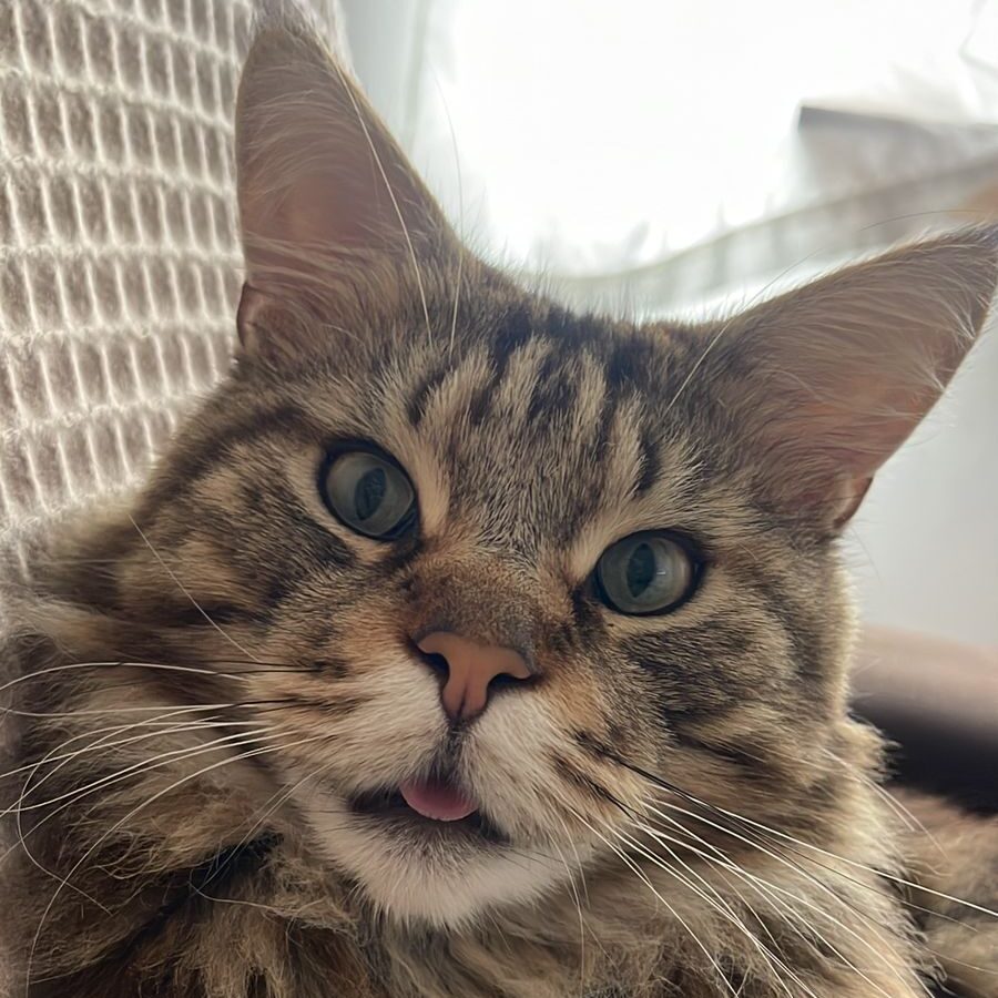 586f3401-8685-458a-8361-27919f9c5074