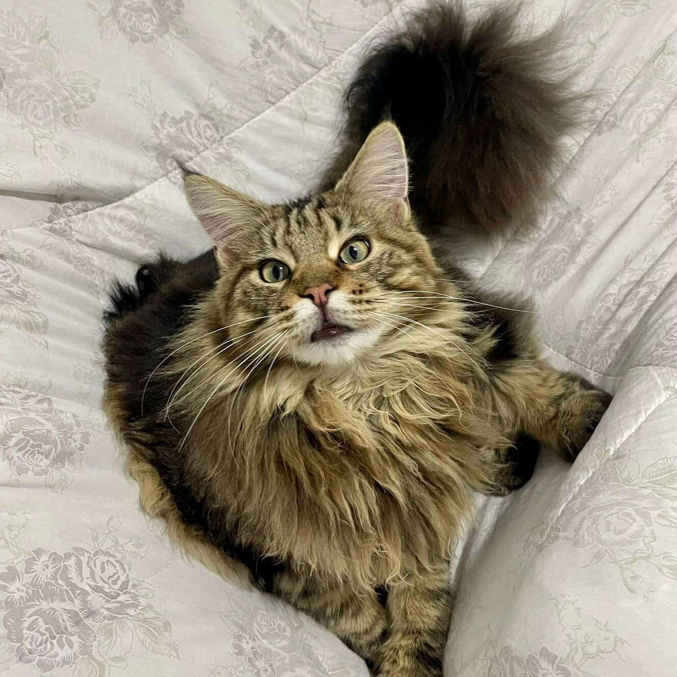 7665ba8e-5884-4604-b998-3ff878f9f07f