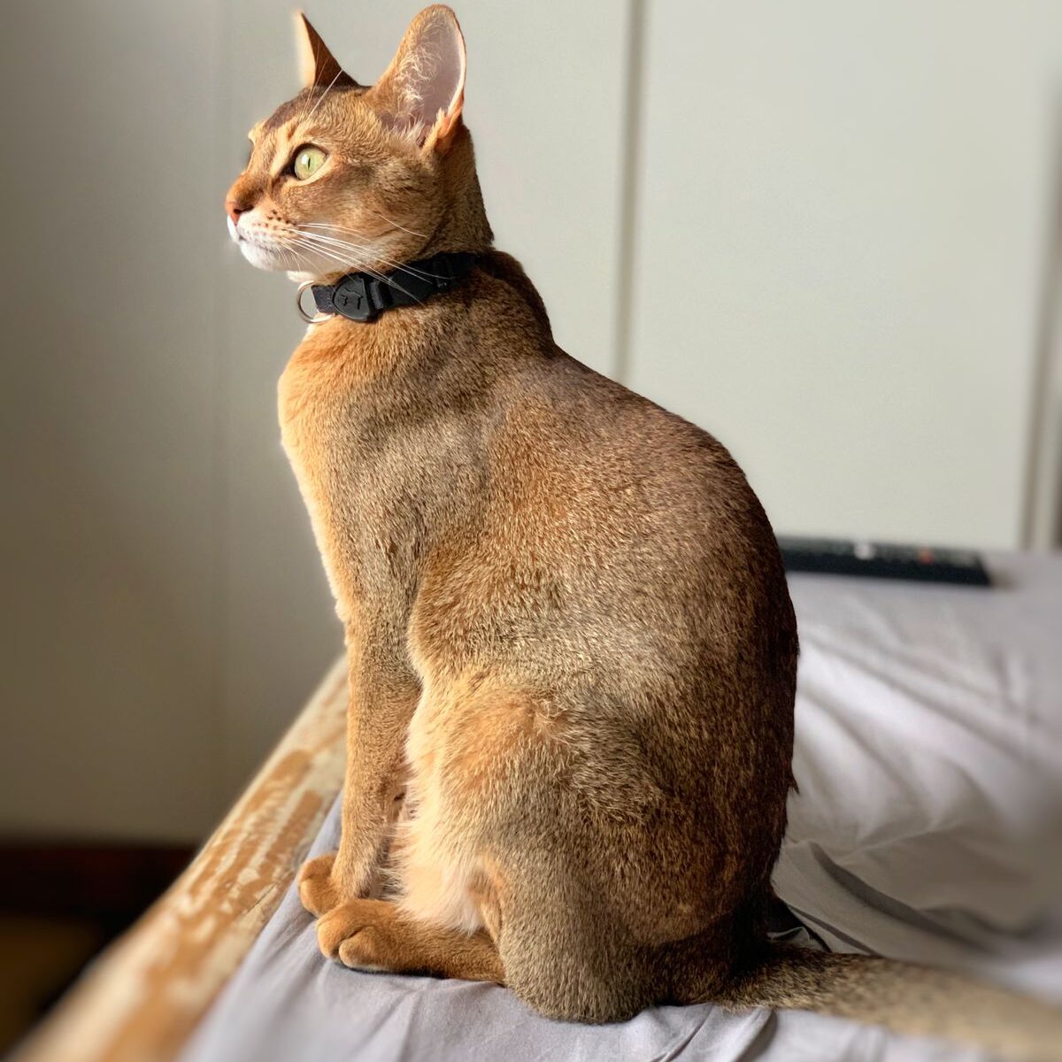 7f5840b5-71b9-4476-bb22-f9f732e65d2d