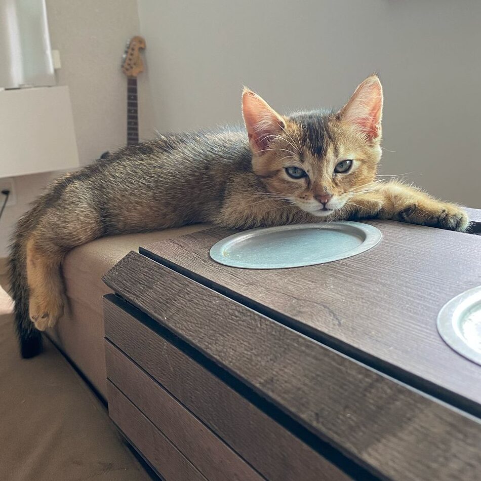 840dfb62-4aac-4b4c-9a3e-af46eadc26f1