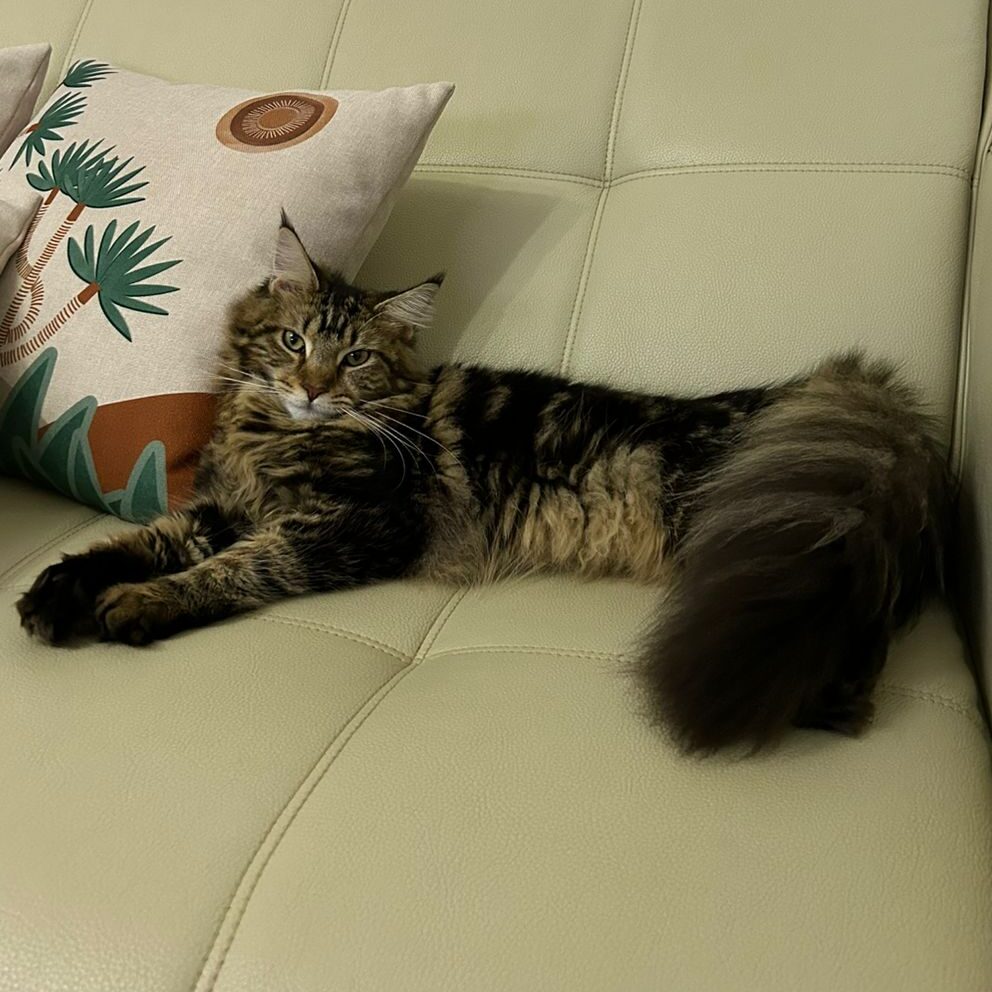 92825da7-703e-4f1e-a5b8-accd07556aff