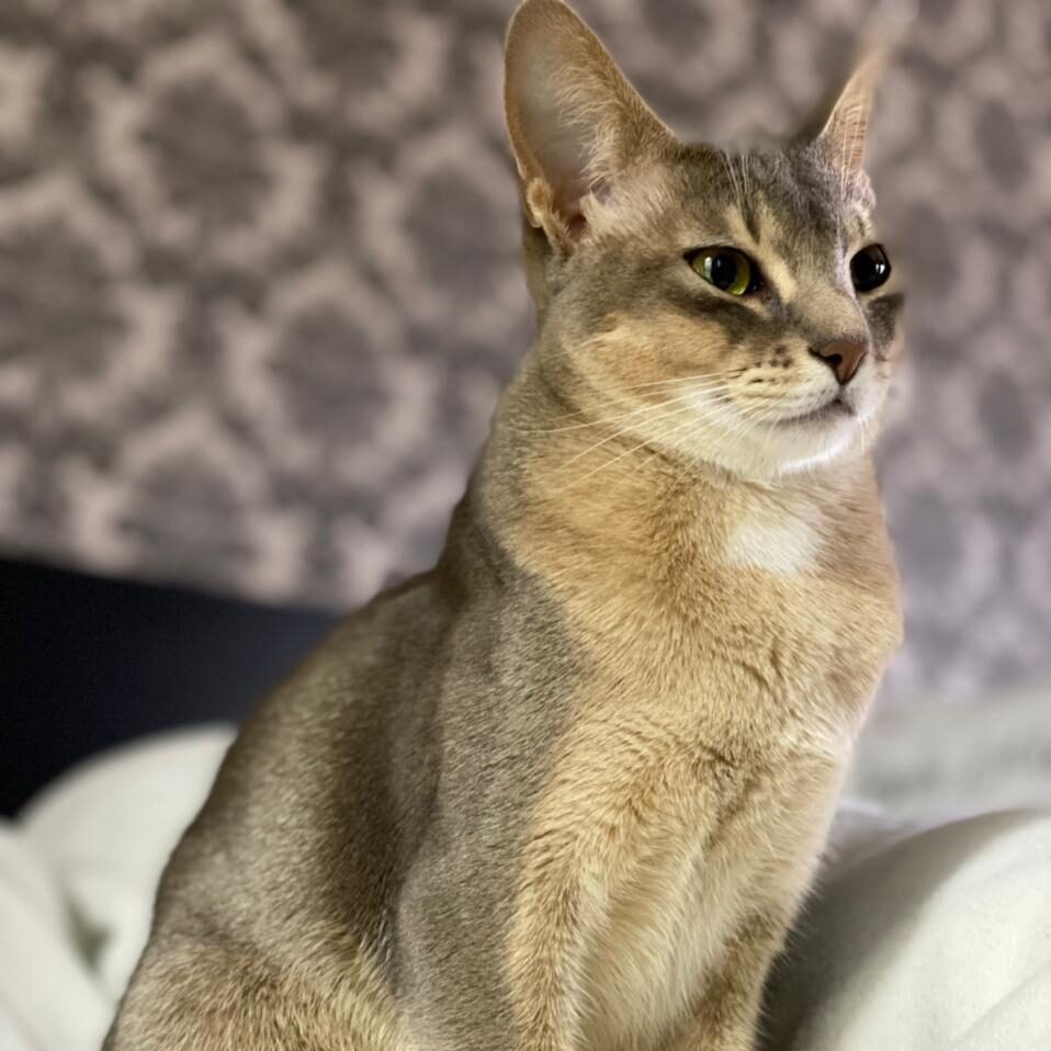 9625c55c-f729-49d6-b7e4-aee0ed12b52a