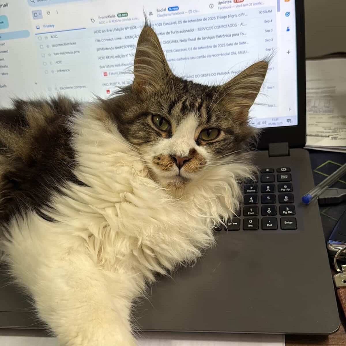 E824D4E5-3B14-4CC2-A9D4-C619A82E6A64