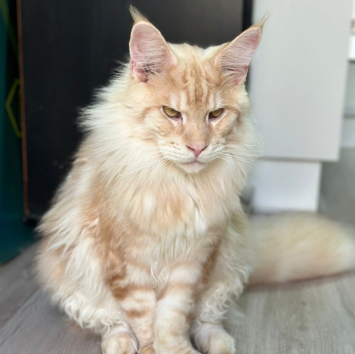 b1c06920-7aeb-4bc2-9182-4f58873ec01f