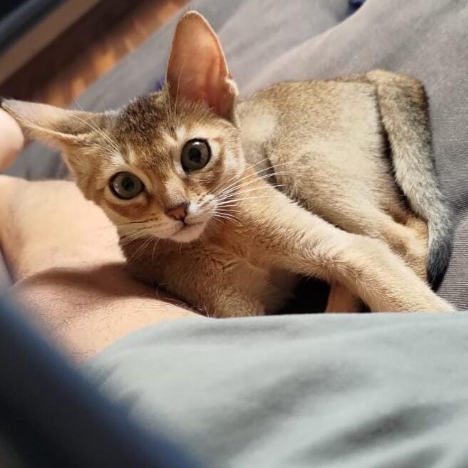 b3def377-661e-43ee-881a-d6c22e3615f9