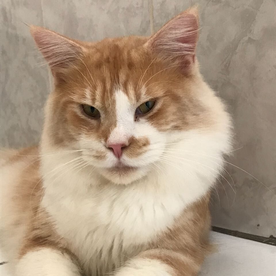 c0598157-0659-4377-98cc-9cbf8992ee1d