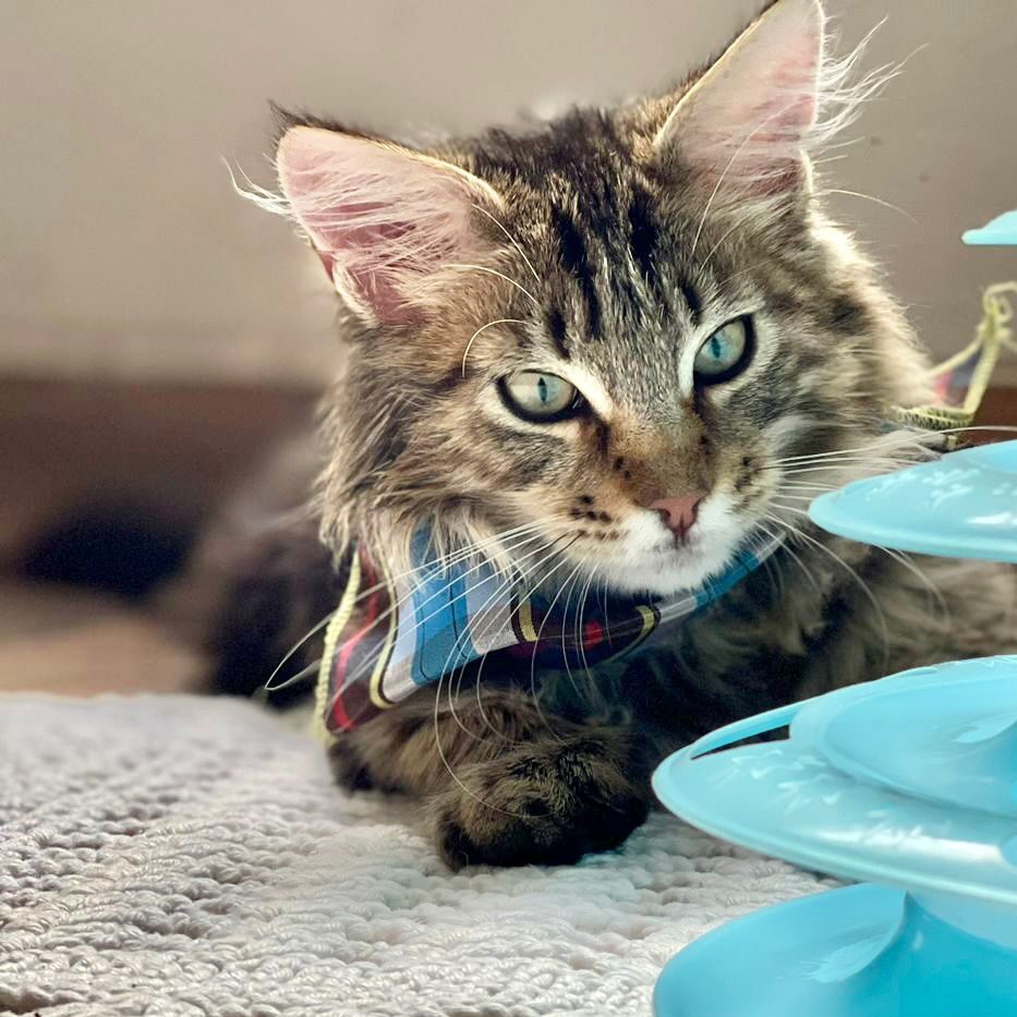 c762e090-1c5f-41b3-9df5-17fde0b14868