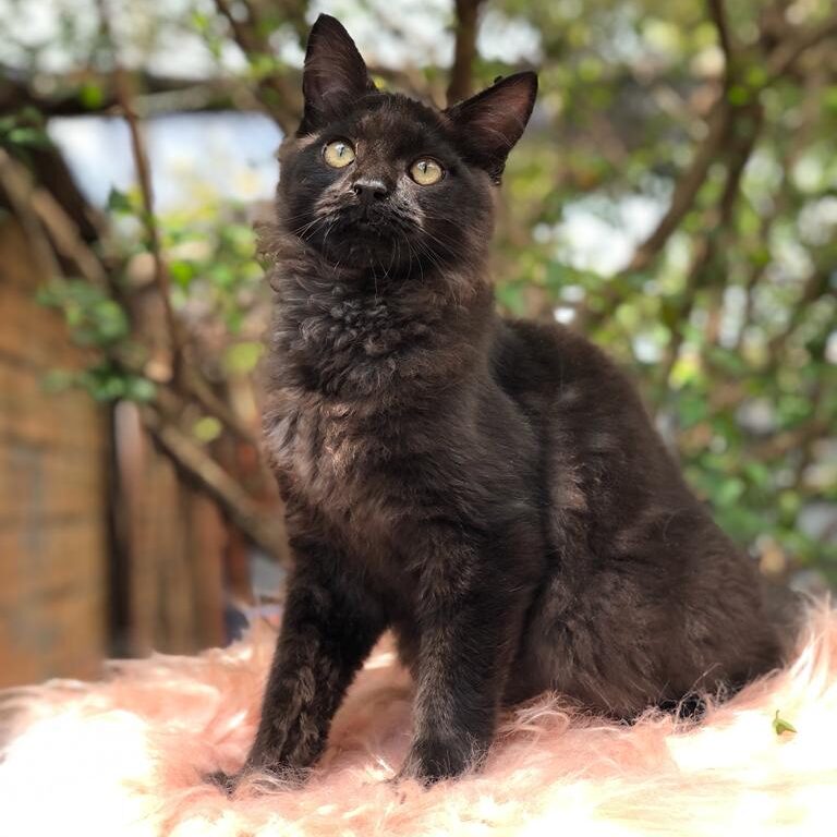 c76ca77b-7bb9-4154-b49c-7f4bc593a442