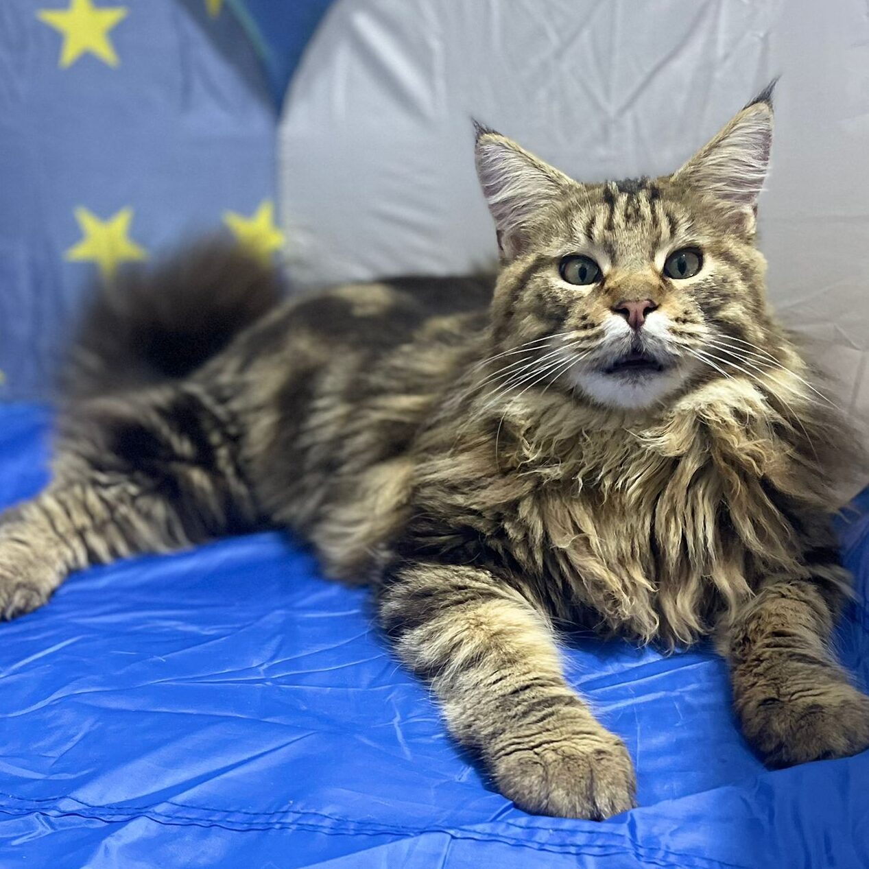 cada57e0-2b50-465d-8194-7a0d9b53a78a