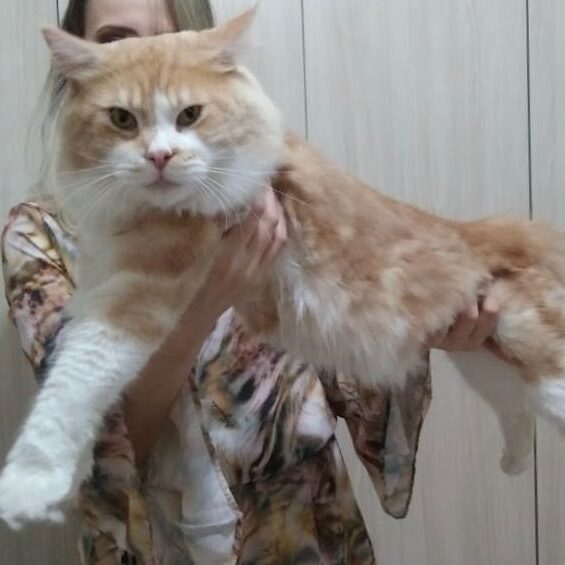 dda5f045-274f-44aa-b782-97468feaa2d9