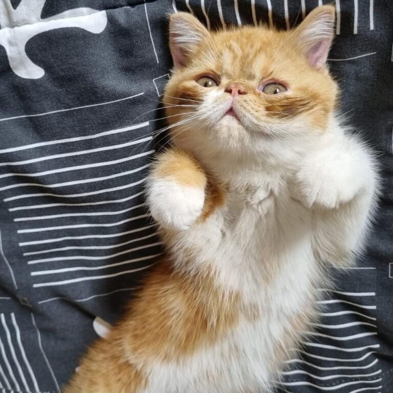 df4d7b66-9b49-4210-b271-86052c6328b8