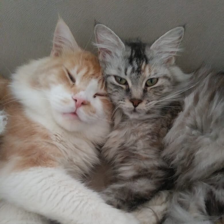 e0b75be5-a995-4344-96fb-7e8ce35c11d5