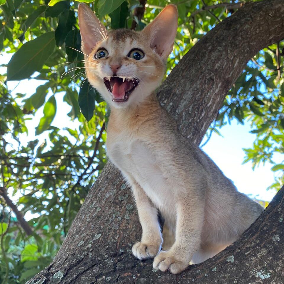 eadac168-abae-4ce6-81d8-5fe19d6c1ce5